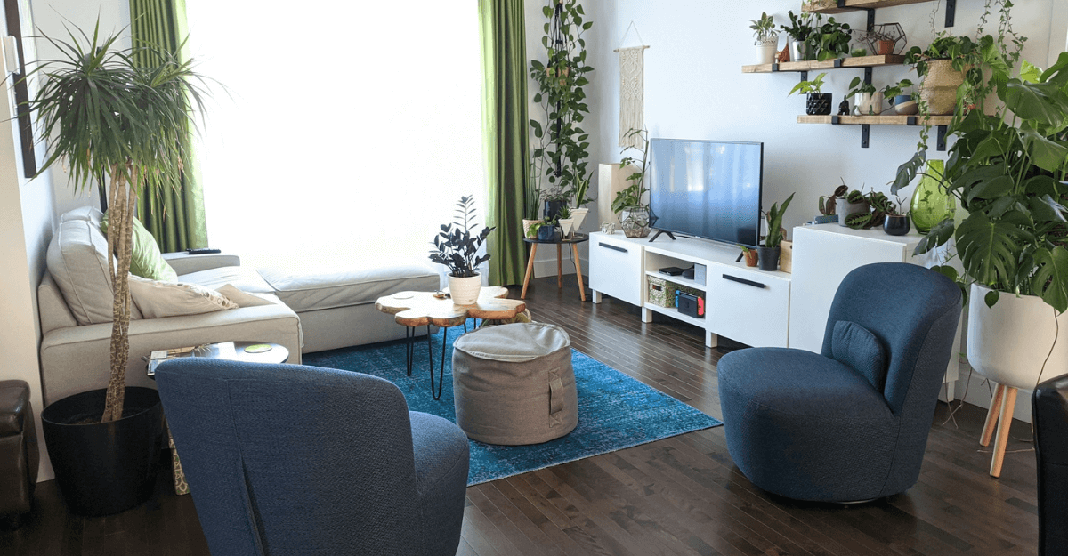 grey sofa chair near green potted plants