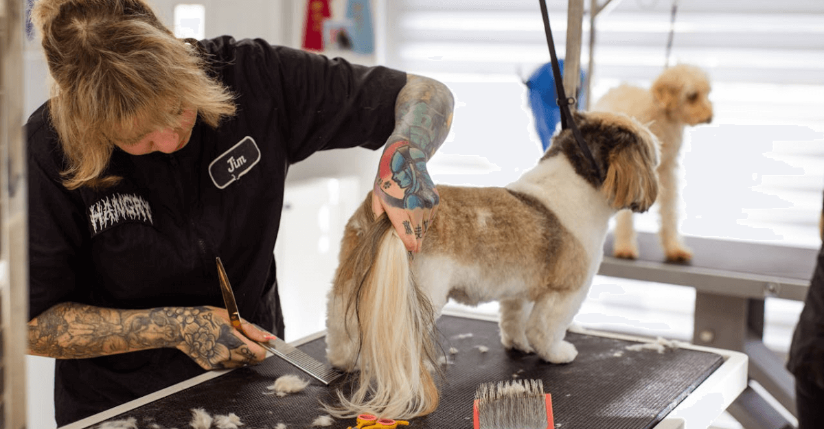 a woman grooming a dog