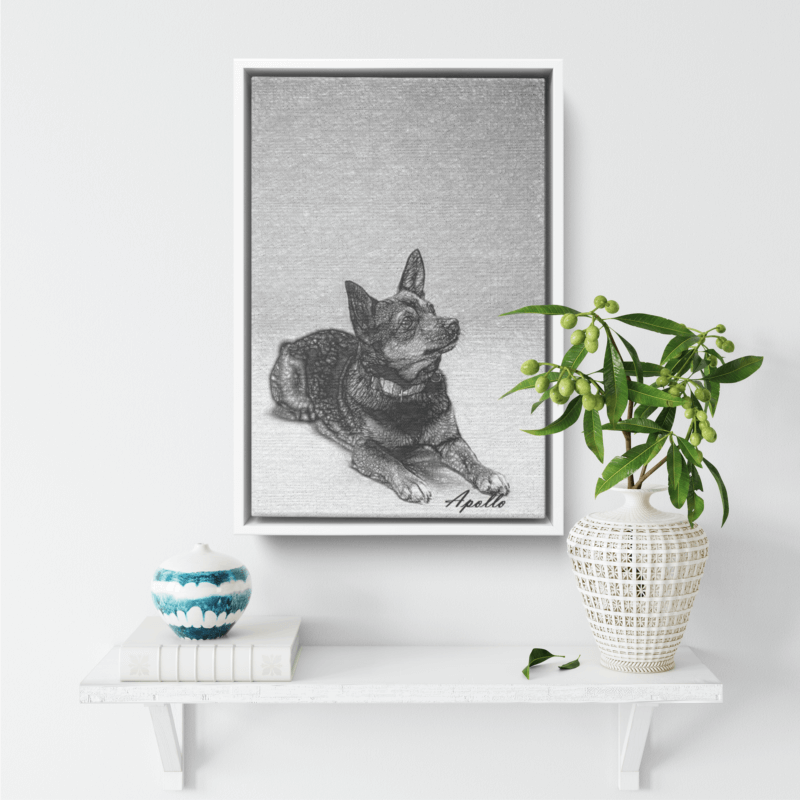 black and white dog portrait on top of sofa