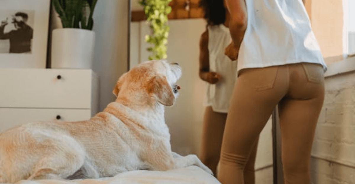 10 Best Apartment Dogs You’ll Love